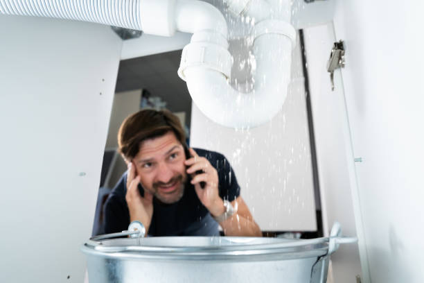Best 24-Hour Plumber Near Me  in Walnut, IL