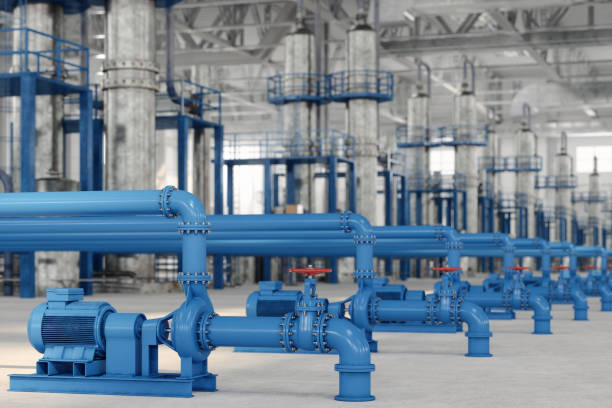 Best Plumbing Inspection Services  in Walnut, IL