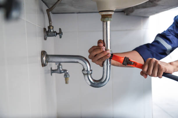 Best Local Plumber Services  in Walnut, IL