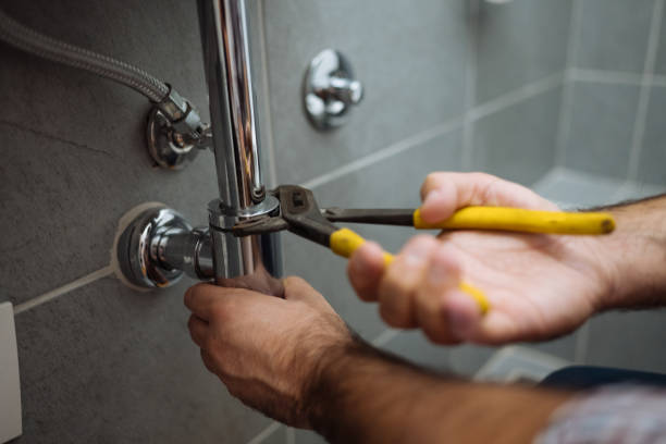 Best Plumbing Repair Near Me  in Walnut, IL